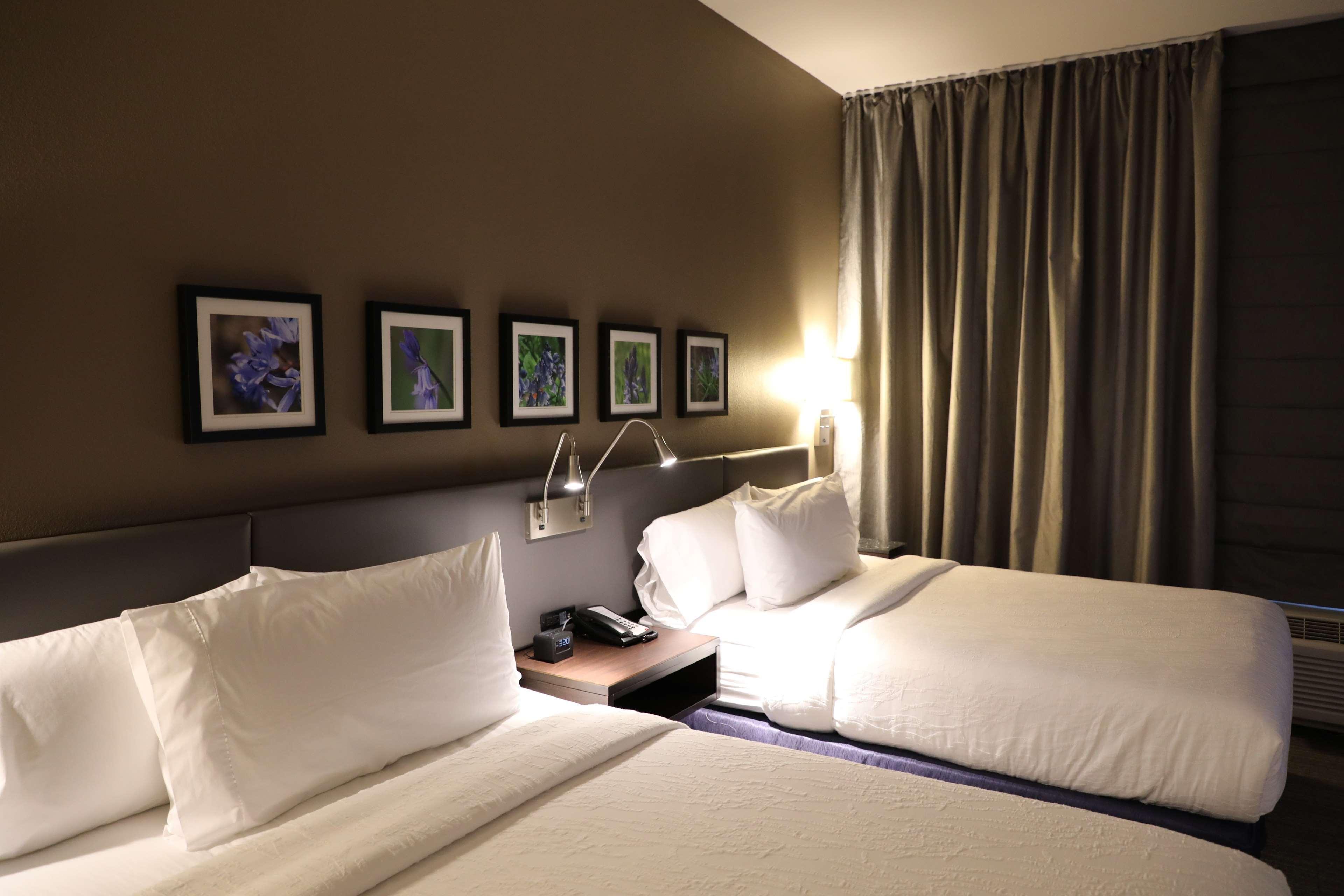 Hilton Garden Inn Austin Airport Exterior foto