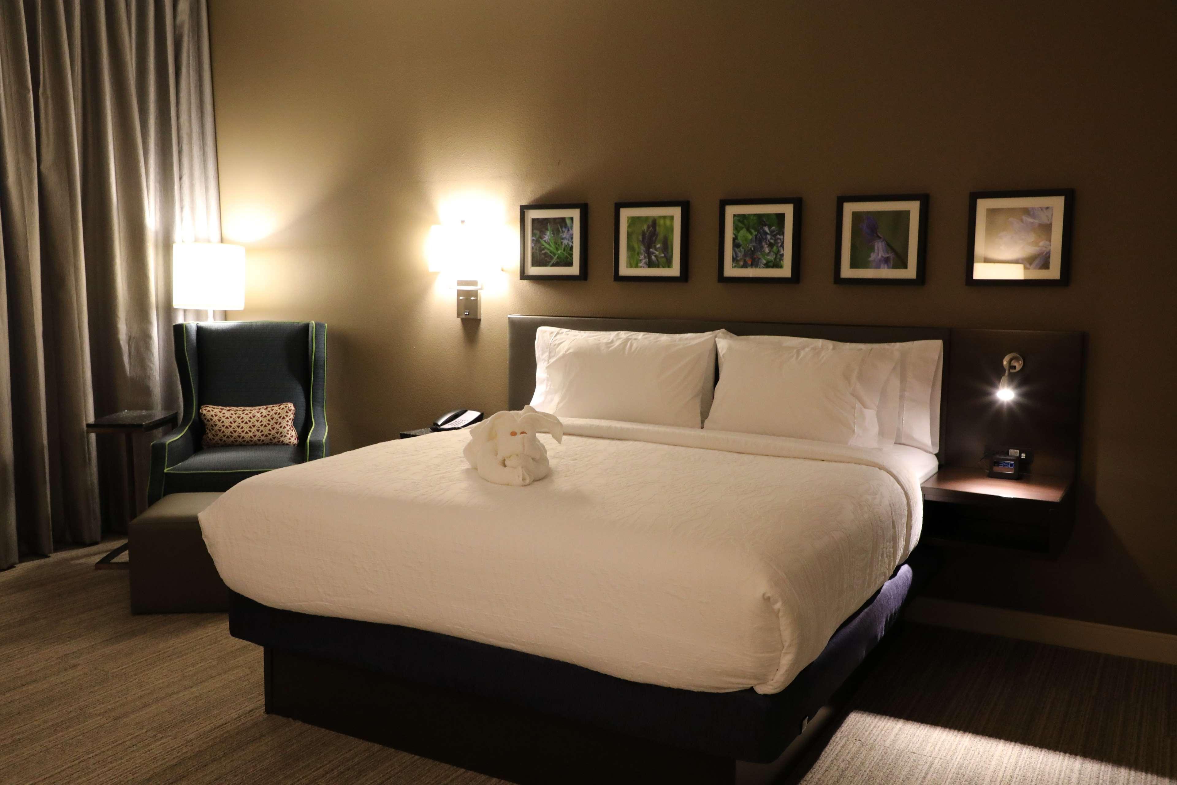 Hilton Garden Inn Austin Airport Exterior foto