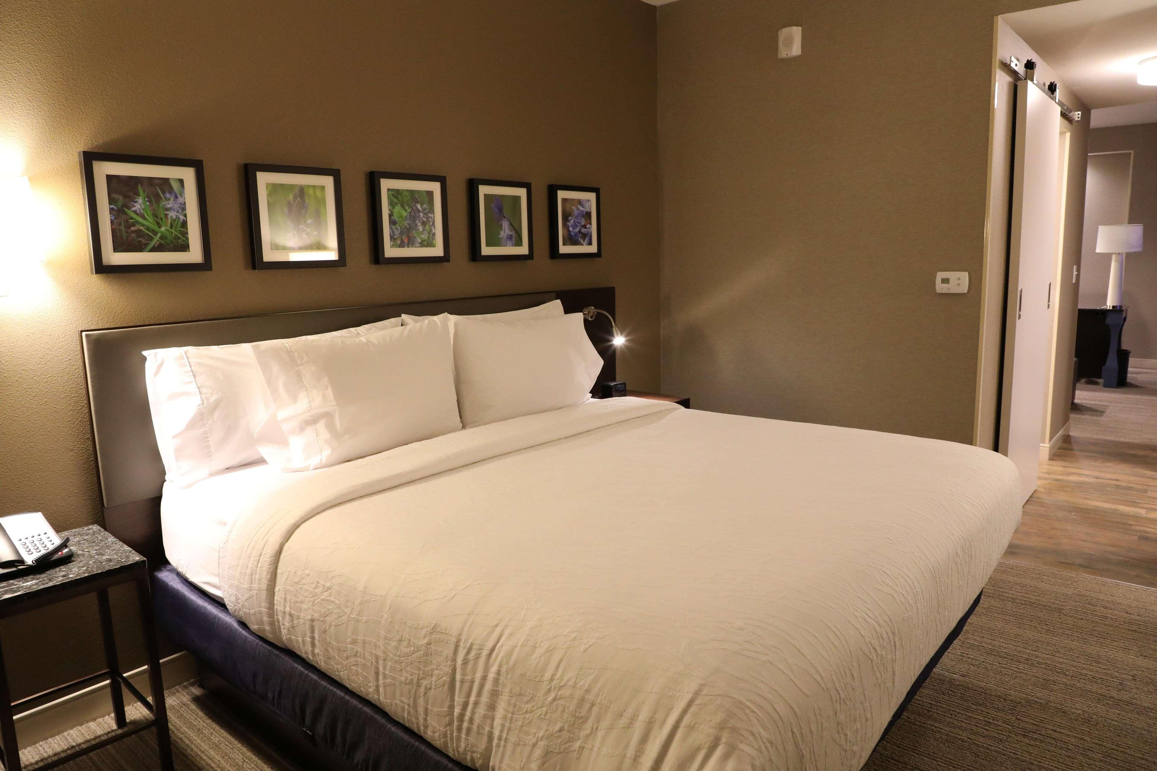 Hilton Garden Inn Austin Airport Exterior foto